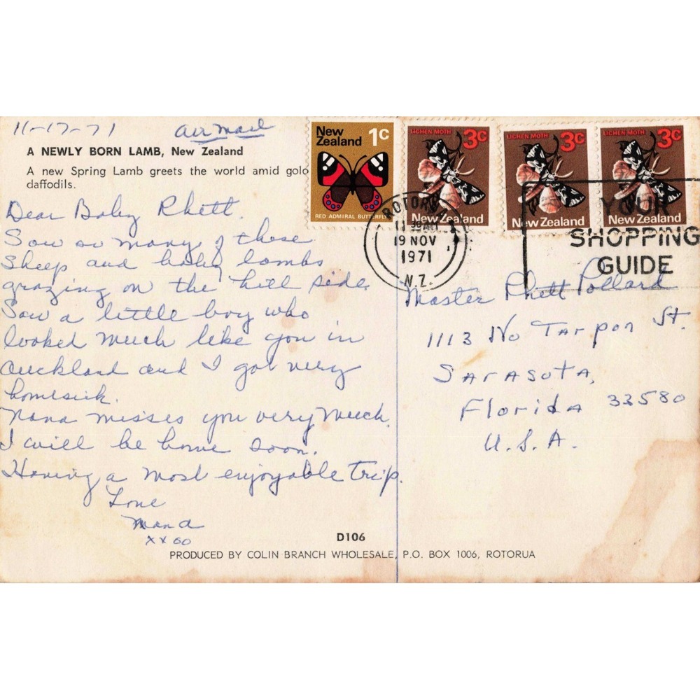 Vintage 1971 New Zealand Postcard Newborn Lamb Daffodils Rotorua D106 Postmarked - Picture 2 of 2